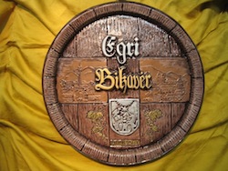 EGRI LÁTKÉPES